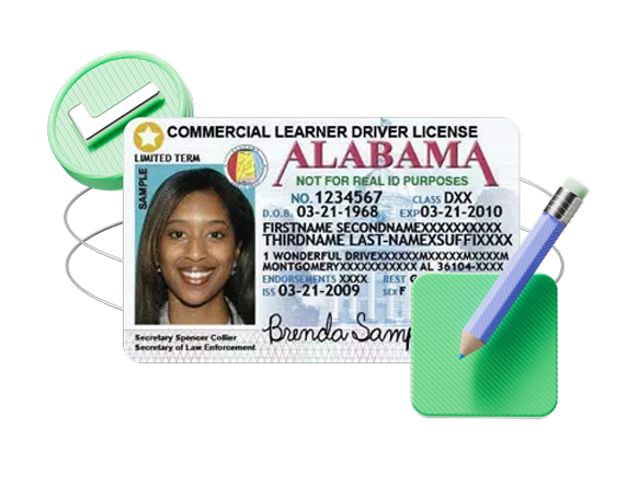 Driver’s License