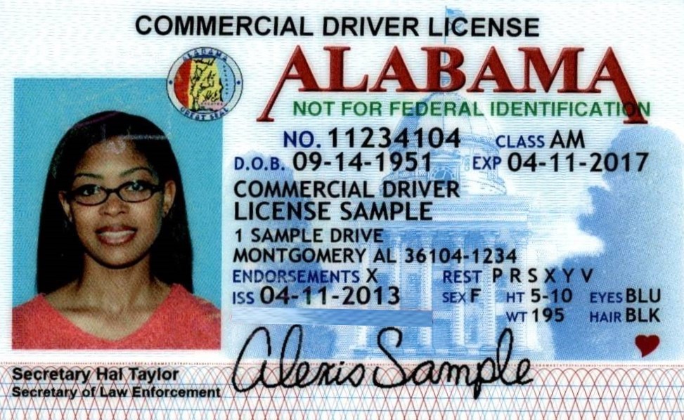 Official sample Alabama driver license