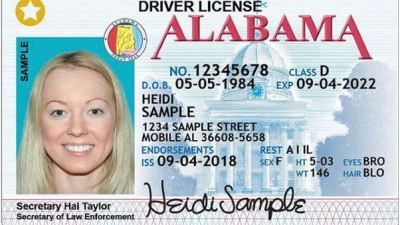 Official sample Alabama driver license