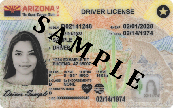 Official sample Arizona driver license
