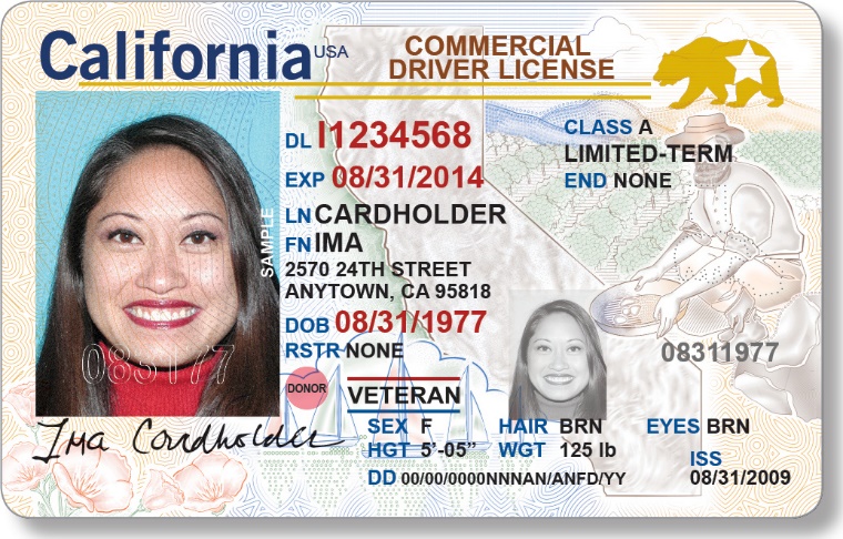 Official sample California driver license