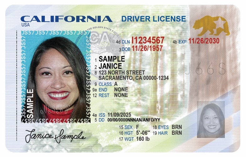 Official sample California driver license