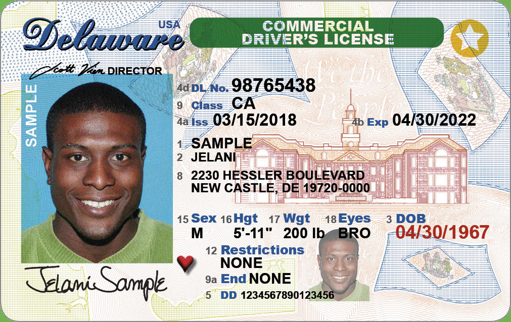 Official sample Delaware driver license