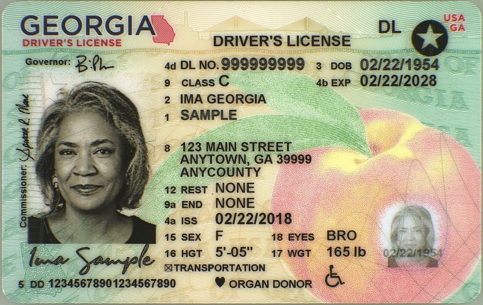 Official sample Georgia driver license