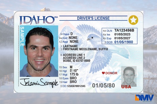 Official sample Idaho driver license