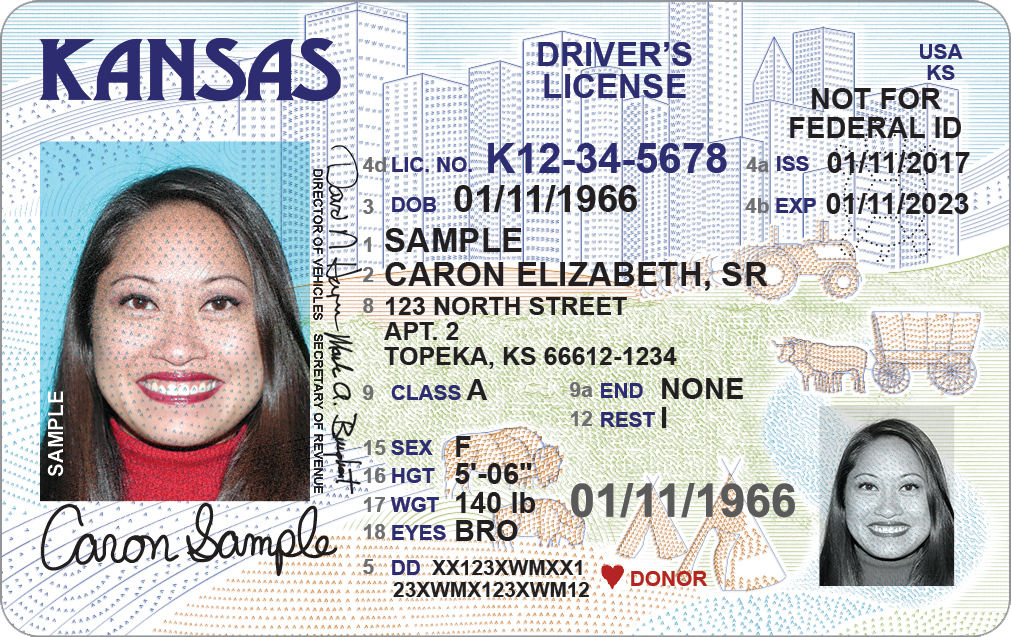 Official sample Kansas driver license