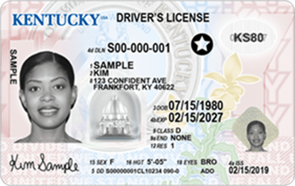 Official sample Kentucky driver license