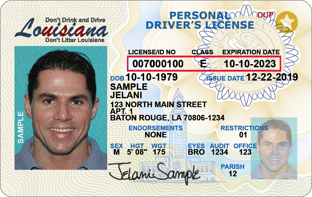 Official sample Louisiana driver license