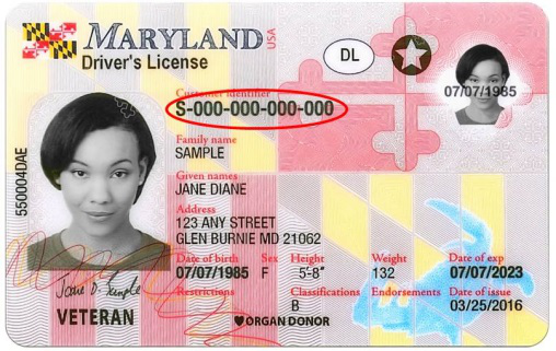 Official sample Maryland driver license