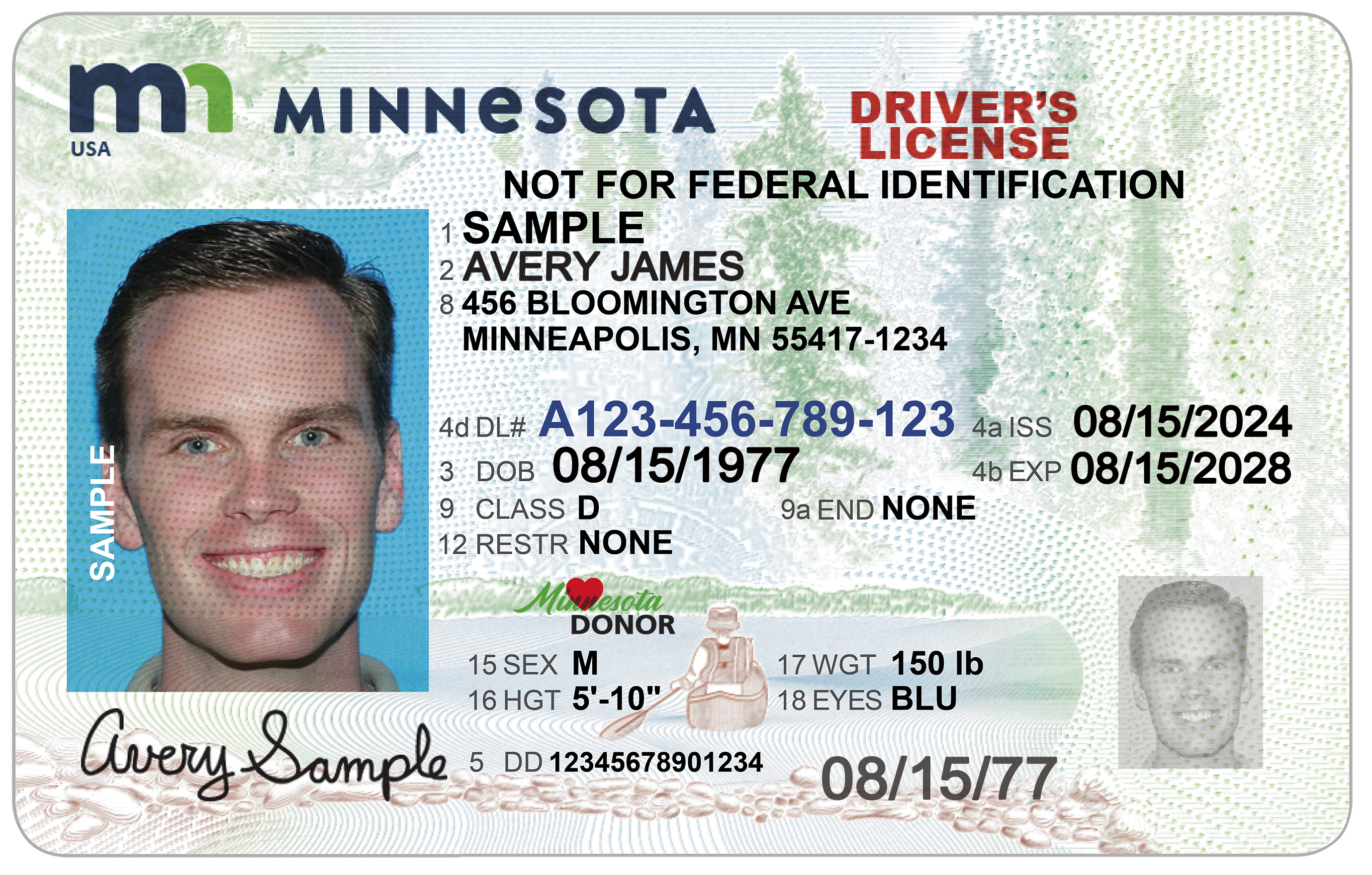 Official sample Minnesota driver license