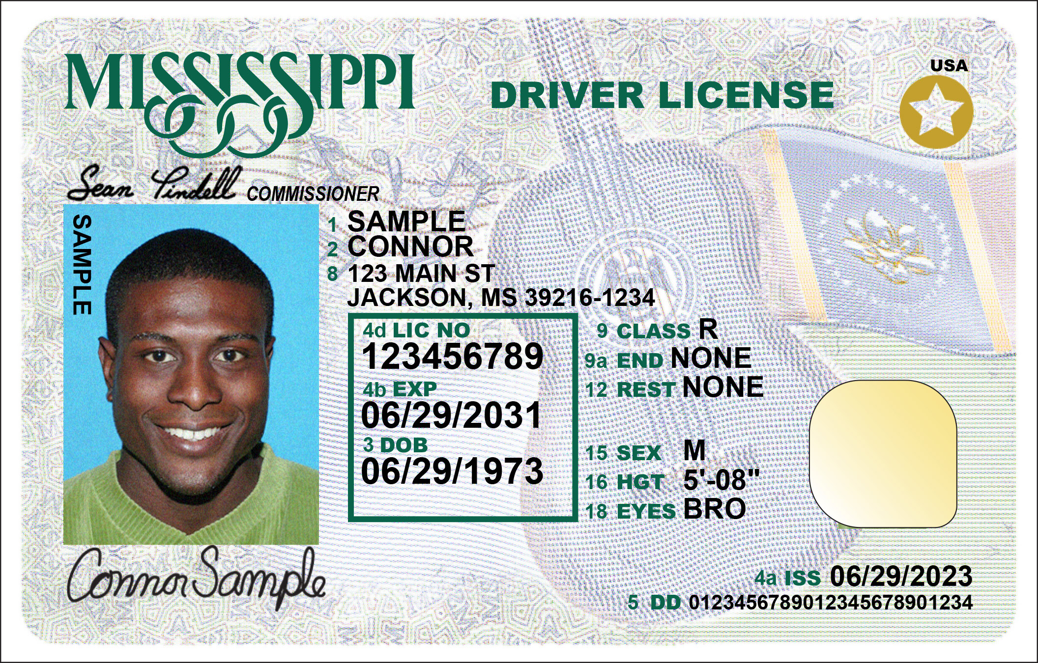 Official sample Mississippi driver license