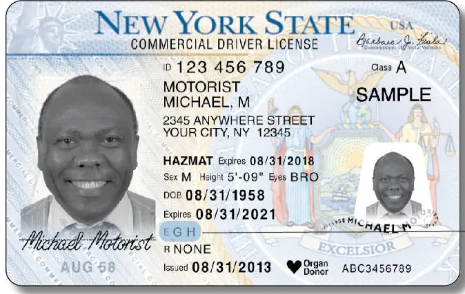 Official sample New York driver license