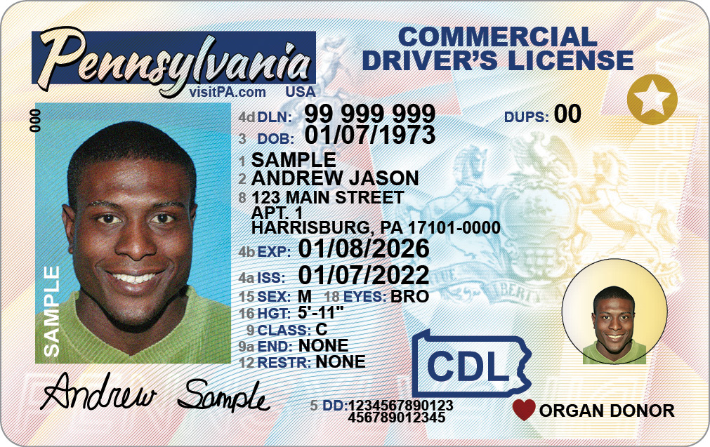 Official sample Pennsylvania driver license
