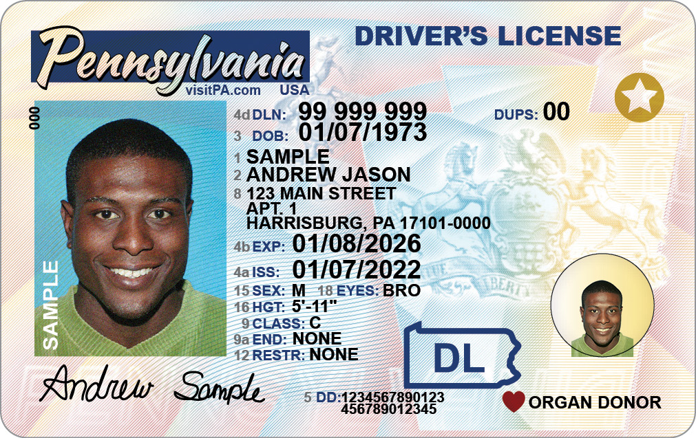 Official sample Pennsylvania driver license