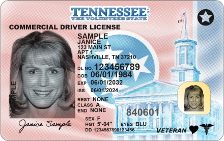 Official sample Tennessee driver license