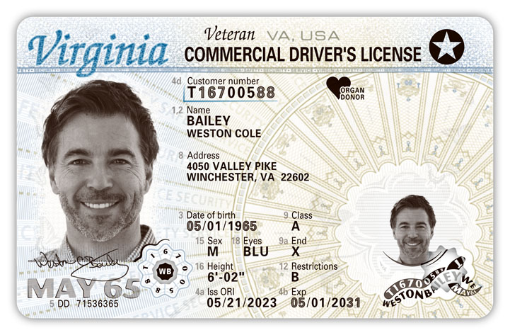 Official sample Virginia driver license