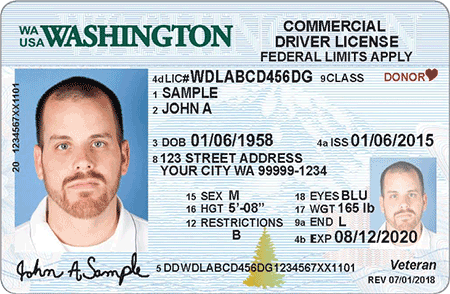 Official sample Washington driver license